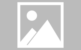 琼中龙江乐从网站建设（乐从和龙江）